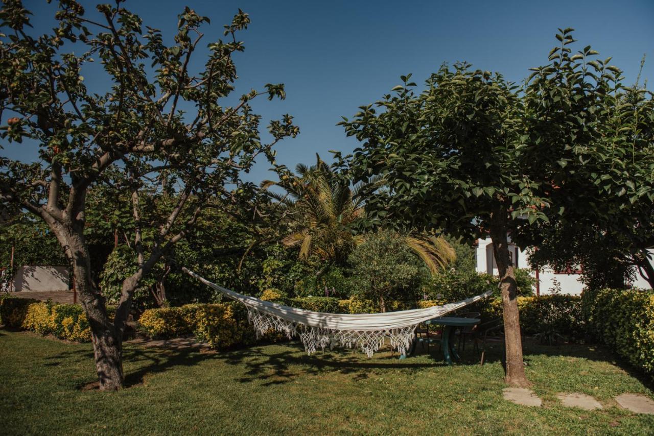 Casa De Marlaes Villa Lousada Eksteriør billede