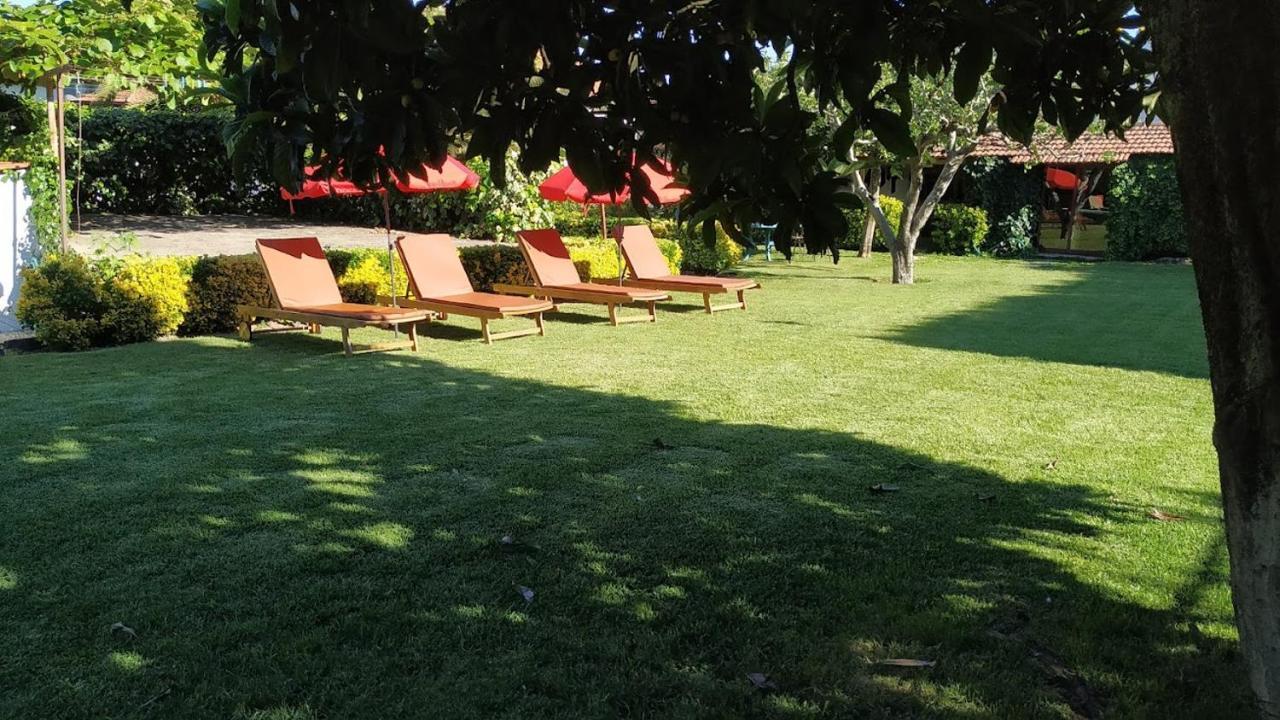 Casa De Marlaes Villa Lousada Eksteriør billede