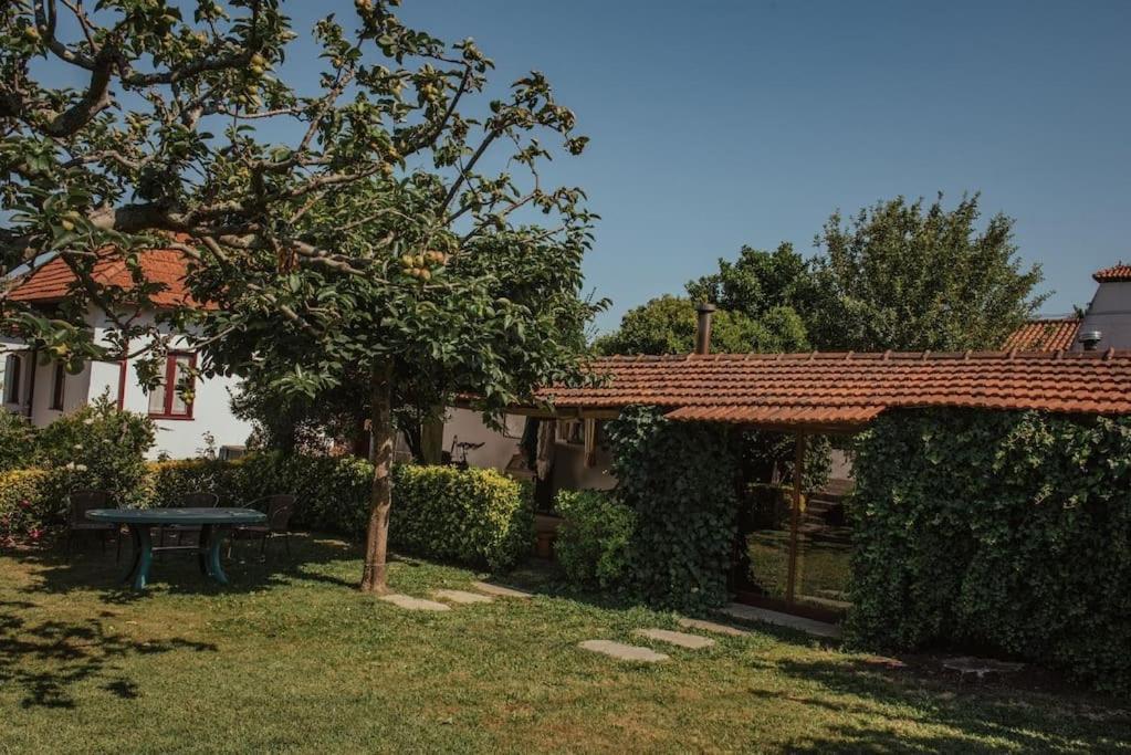 Casa De Marlaes Villa Lousada Eksteriør billede