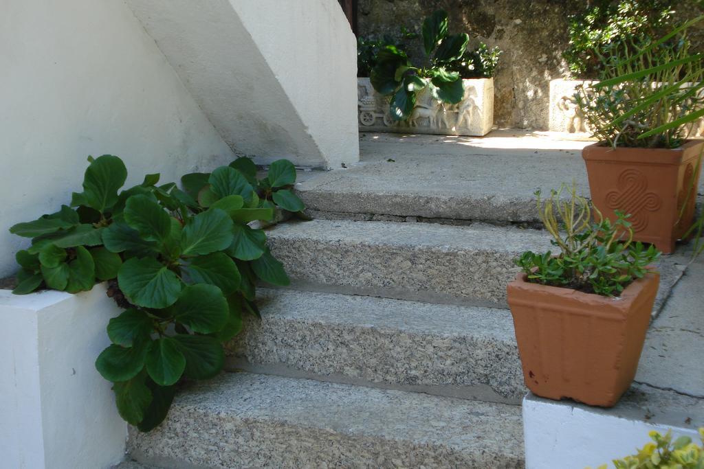 Casa De Marlaes Villa Lousada Eksteriør billede